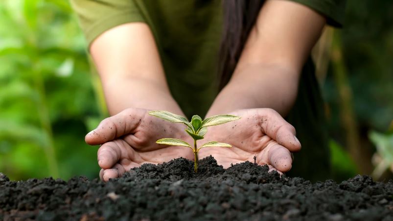 Soil Bacteria Work Like Antidepressants To Make You Happy - Ladies After 50